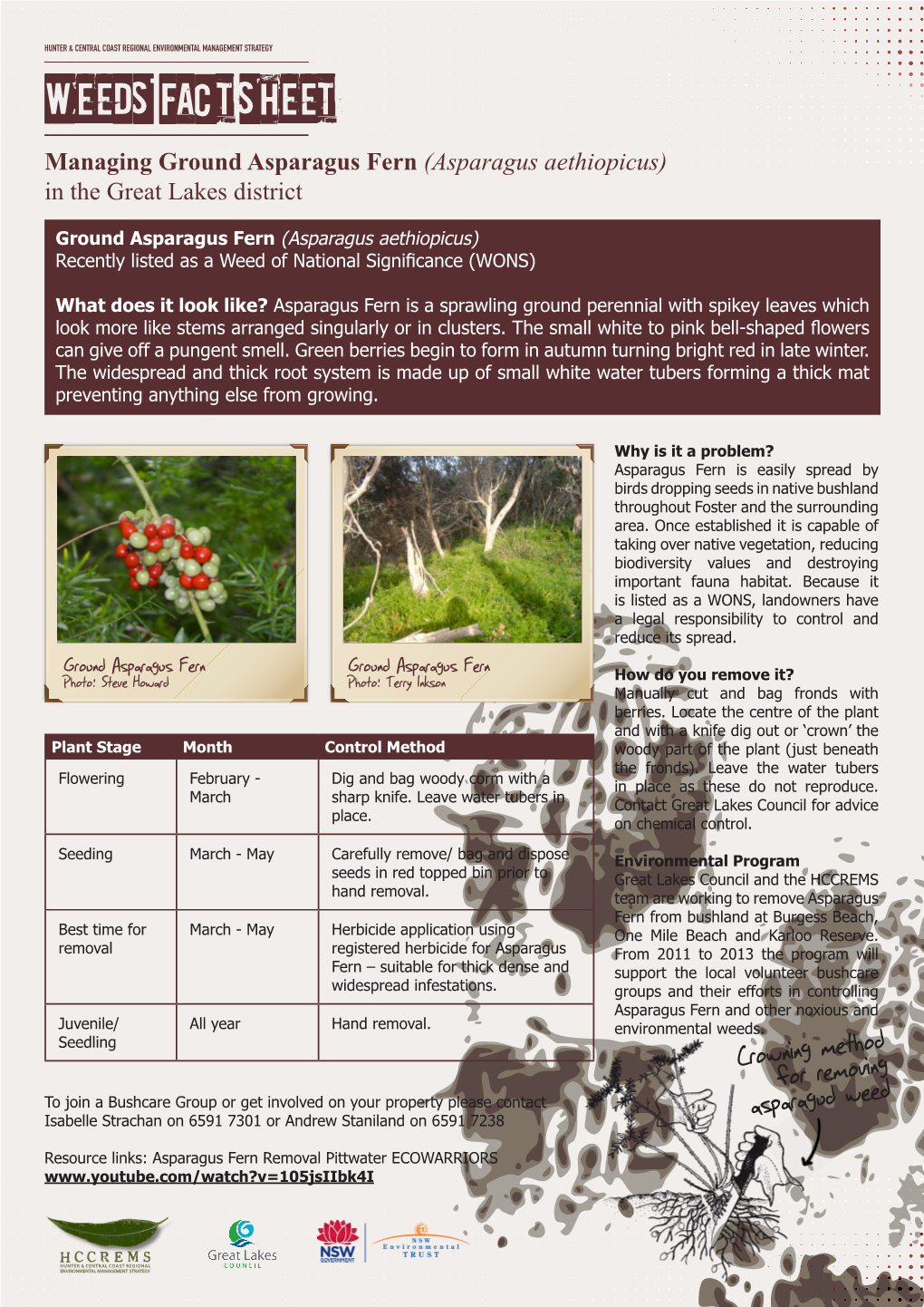 Weeds Fact Sheet