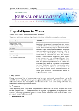 Urogenital System for Women