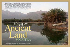 Birding an Ancient Land Socotra