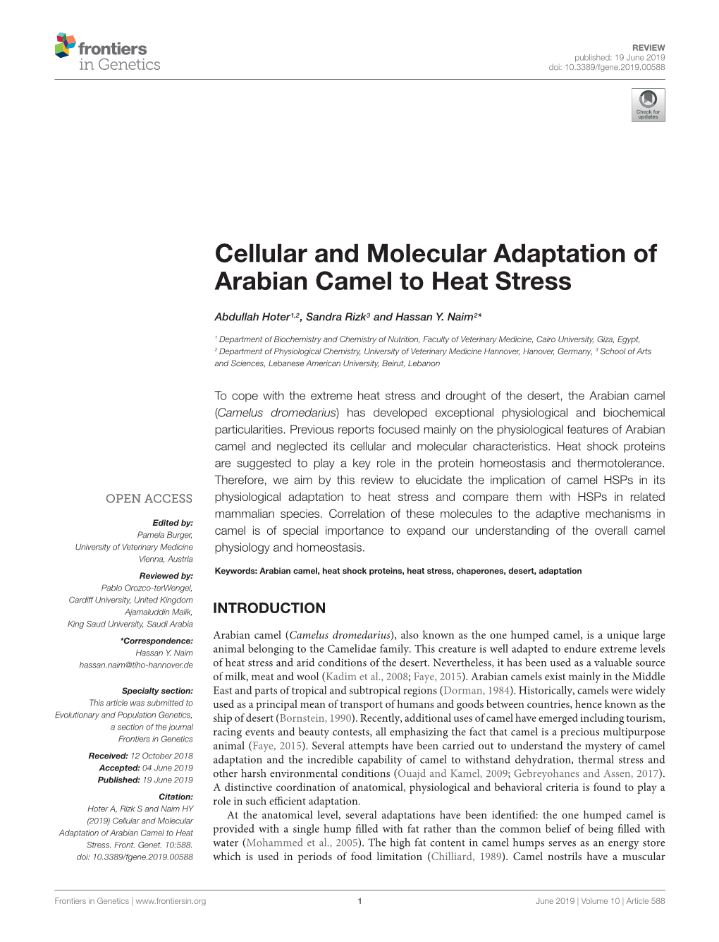 Cellular and Molecular Adaptation of Arabian Camel to Heat Stress