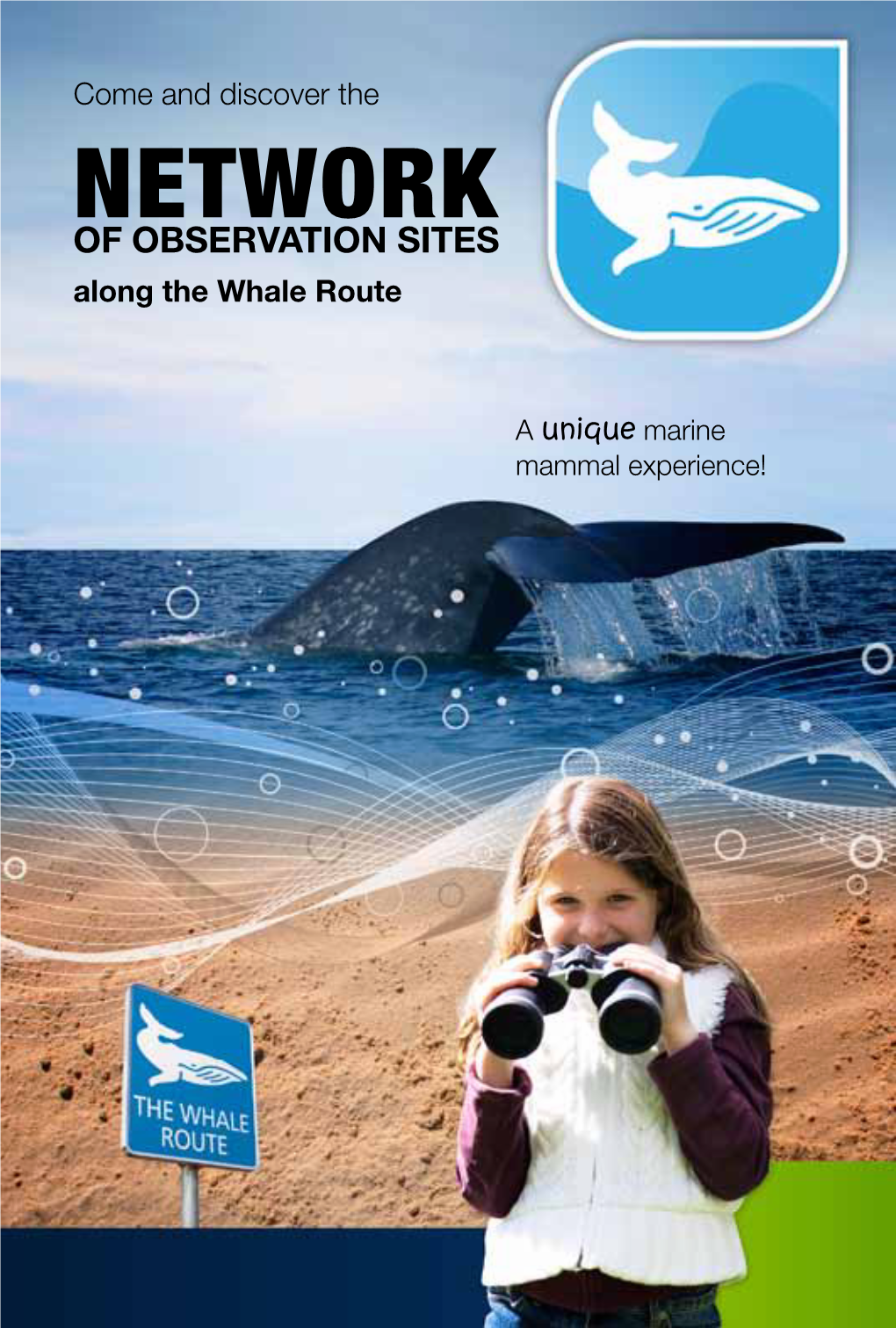 NETWORK of OBSERVATION SITES Along the Whale Route