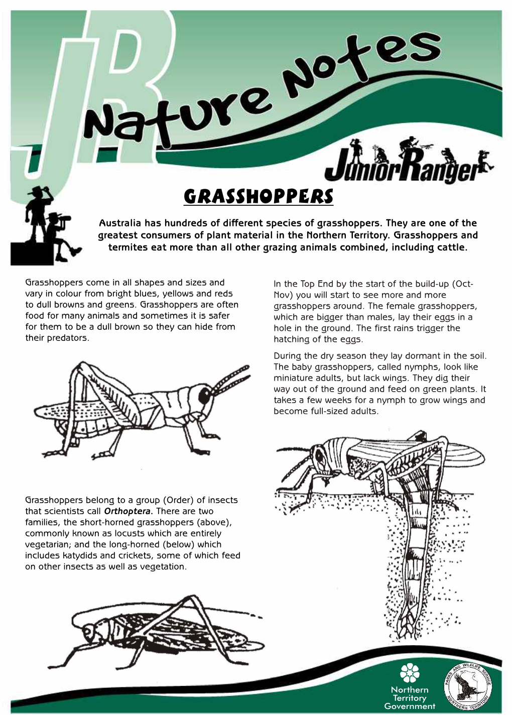 Grasshoppers. They Are One of the Greatest Consumers of Plant Material in the Northern Territory