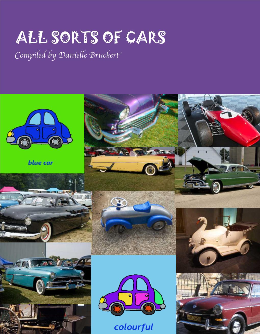 SORTS of CARS Compiled by Danielle Bruckert