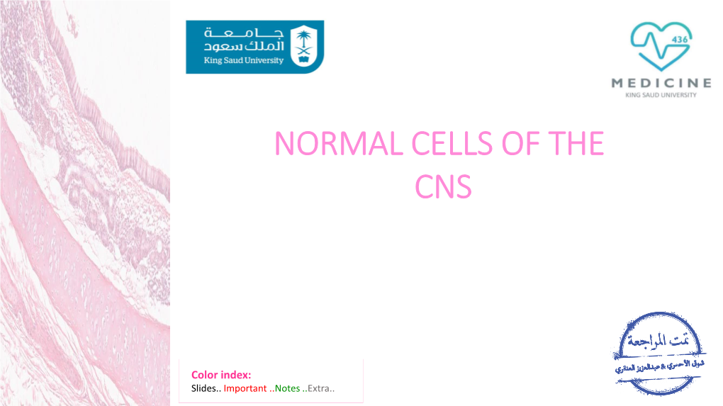 Normal Cells of the Cns