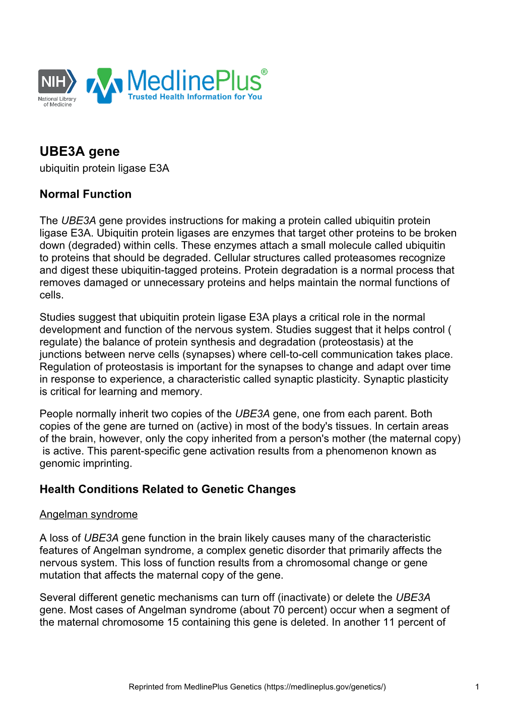 UBE3A Gene Ubiquitin Protein Ligase E3A