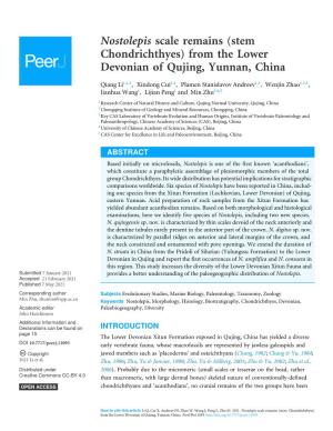 Nostolepis Scale Remains (Stem Chondrichthyes) from the Lower Devonian of Qujing, Yunnan, China