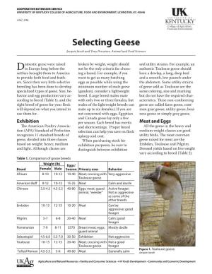 ASC-196: Selecting Geese