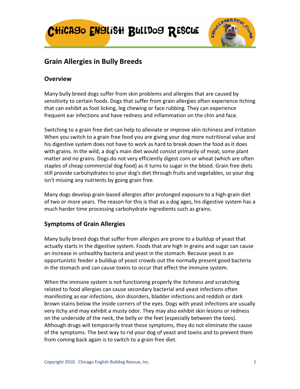 Why a Grain Free Diet for Bully's?