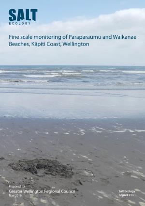 Fine Scale Monitoring of Paraparaumu and Waikanae Beaches, Kāpiti Coast, Wellington