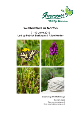 Swallowtails in Norfolk 7 - 10 June 2019 Led by Patrick Barkham & Alice Hunter