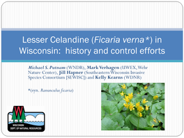 Lesser Celandine in Wisconsin: Recent History and Control Efforts