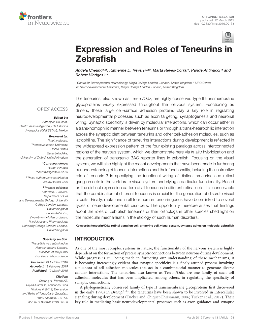 Expression and Roles of Teneurins in Zebrafish