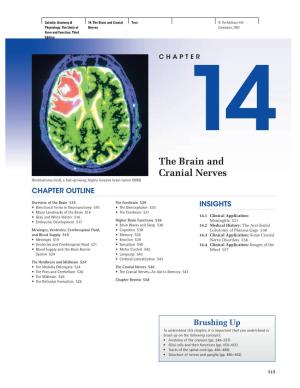 The Brain and Cranial Nerves Glioblastoma (Red), a Fast-Growing, Highly Invasive Brain Tumor (MRI) CHAPTER OUTLINE