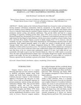 Distribution and Morphology of Eelgrass (Zostera Marina L.) at the California Channel Islands