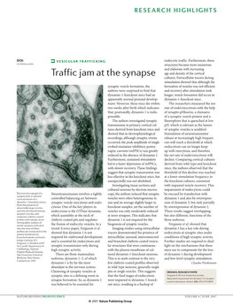 Traffic Jam at the Synapse Age and Density of the Cortical Cultures