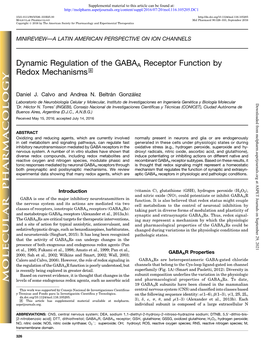 Dynamic Regulation of the GABAA Receptor Function by Redox Mechanisms S