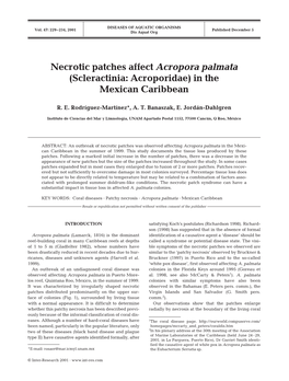 Necrotic Patches Affect Acropora Palmata (Scleractinia: Acroporidae) in the Mexican Caribbean