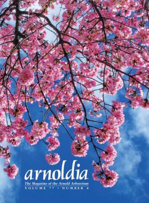 The Magazine of the Arnold Arboretum VOLUME 77 • NUMBER 4