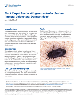 Black Carpet Beetle, Attagenus Unicolor (Brahm) (Insecta: Coleoptera: Dermestidae)1 Jerry E