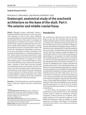 Endoscopic Anatomical Study of the Arachnoid Architecture on the Base of the Skull