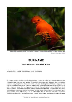 Suriname! (Dani Lopez-Velasco)