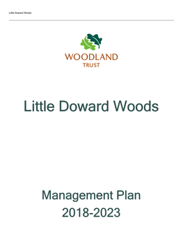 Little Doward Woods