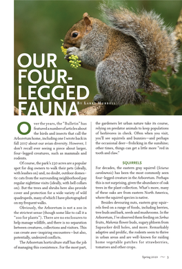 Our Four-Legged Fauna