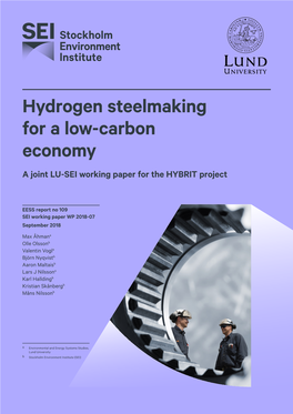 Hydrogen Steelmaking for a Low-Carbon Economy a Joint LU-SEI Working Paper for the HYBRIT Project