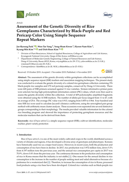 Assessment of the Genetic Diversity of Rice Germplasms Characterized by Black-Purple and Red Pericarp Color Using Simple Sequence Repeat Markers
