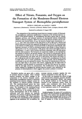 Effect of Nitrate, Fumarate, and Oxygen on the Formation of the Membrane-Bound Electron Transport System of Haemophilus Parainfluenzae