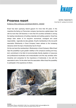 Progress Report Knauf 06/2018