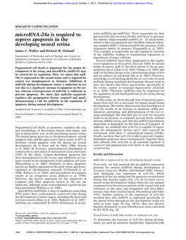 Microrna-24A Is Required to Repress Apoptosis in the Developing Neural Retina