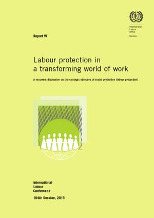 Labour Protection in a Transforming World of Work