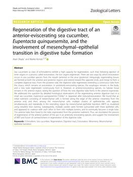 Regeneration of the Digestive Tract of an Anterior-Eviscerating Sea