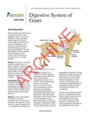 Digestive System of Goats 3 References