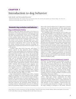 Introduction to Dog Behavior