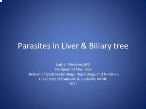 Parasites in Liver & Biliary Tree