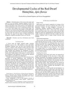 Developmental Cycles of the Red Dwarf Honeybee, Apis Florea