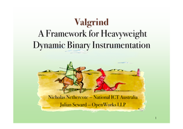 Valgrind a Framework for Heavyweight Dynamic Binary