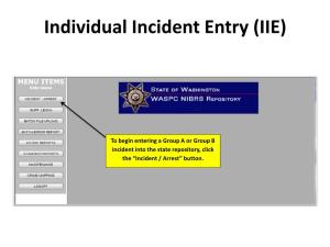 Individual Incident Entry (IIE)