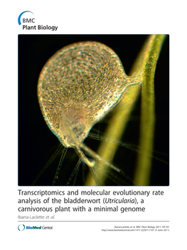 (Utricularia), a Carnivorous Plant with a Minimal Genome Ibarra-Laclette Et Al