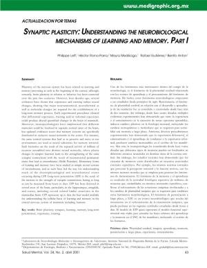 Synaptic Plasticity: Understanding the Neurobiological Mechanisms of Learning and Memory