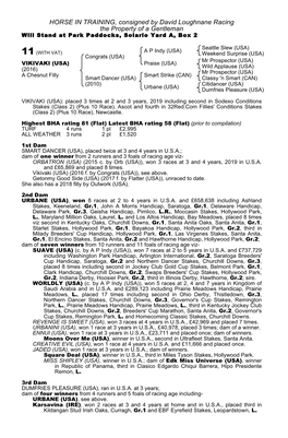 HORSE in TRAINING, Consigned by David Loughnane Racing the Property of a Gentleman Will Stand at Park Paddocks, Solario Yard A, Box 2