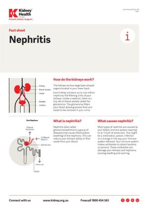 Nephritis Fact Sheet