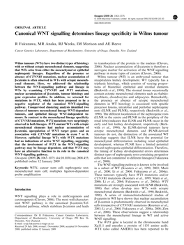 Canonical WNT Signalling Determines Lineage Specificity in Wilms Tumour