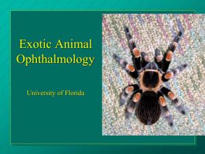 Exotic Animal Ophthalmology