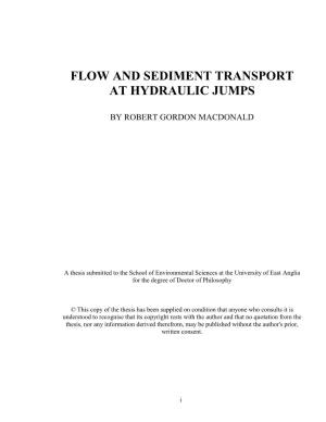 Flow and Sediment Transport at Hydraulic Jumps