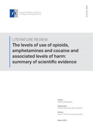 The Levels of Use of Opioids, Amphetamines and Cocaine and Associated Levels of Harm: Summary of Scientific Evidence