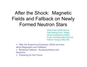 After the Shock: Magnetic Fields and Fallback on Newly Formed Neutron Stars