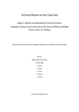 Technical Report on the Tuam Site